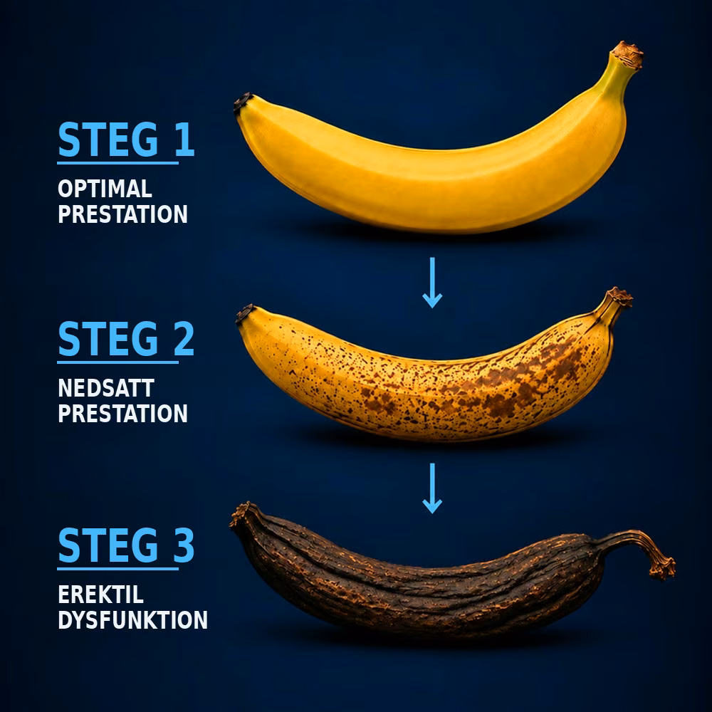 Infografik i tre steg på marinblå bakgrund: optimal prestation, minskad prestation och sedan dysfunktion